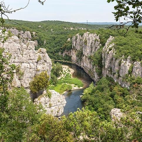 bois de paiolive ardeche